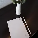 Q *